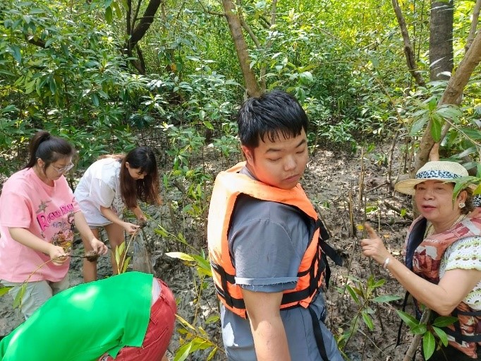 Planting Mangrove Project at Klong Klone, Samutsongkarm, Thailand.